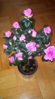 20180305_120425.jpg