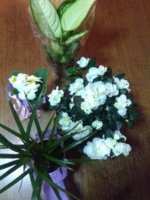 IMG_20180305_190324.jpg