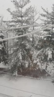 20180307_153139.jpg