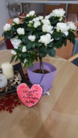 20180307_214645.jpg