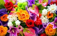 colorful-bouquet-18686-1920x1200.jpg