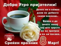 image-0-02-04-46e204c840893372f334a8603e1b0ddc33e18eb95b7c006ea9c7b49e01dfa261-V.jpg