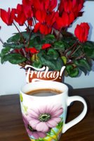 20180309_095718.jpg