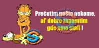 garfield_standing_on_odie_wallpaper-336x280.jpg