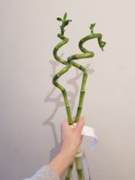20180315_171213.jpg