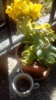 20180315_130817.jpg