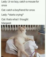 FB_IMG_15215402380887416.jpg