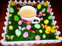 20180324_092430.jpg