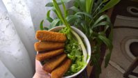 WP_20180324_13_31_49_Pro.jpg
