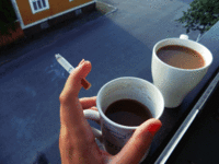 22ec6775587a8e53eac2b0c599a73fba.gif