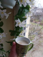 20180325_173013.jpg