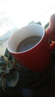20180330_111706.jpg