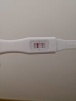 IMG-abd1d16cdfa10fe774fdf69375c46b3e-V.jpg