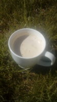 20180330_102317.jpg