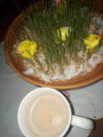 20180404_182936.jpg