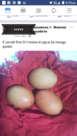 20180405_154257.png