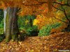 Cool-Autumn-Wallpapers-3.jpg