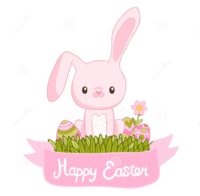IMG_20180407_185333.png