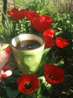 20180409_111537.jpg