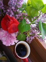 IMG_20180411_154541.jpg