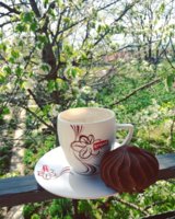 IMG_20180414_134434_427.jpg