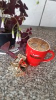 20180415_121813.jpg