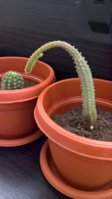 WP_20180420_14_38_57_Pro.jpg