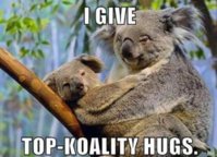 VH-top-koality-hugs.jpg