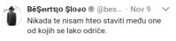 bs.jpg