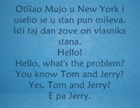 Otiao-Mujo-u-New-York-i.jpg