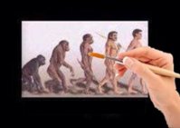 human evolution copy.jpg