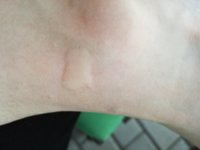 IMG_20180504_191532.jpg