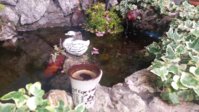 20180506_160416.jpg