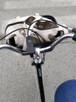 20180507_103103.jpg
