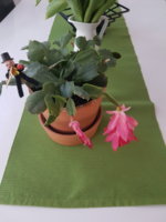 20180508_082803.jpg