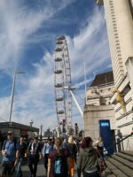 IMG_20180509_162429.jpg
