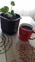20180510_153147.jpg