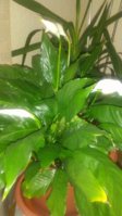 20180510_172303.jpg