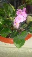 20180510_172320.jpg