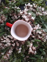 20180512_080107.jpg