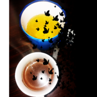 photo_shattering_20180512_001619.png