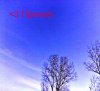 IMG2857A.jpg