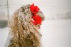 bow-girl-red-snow-winter-Favim.com-114317_large.jpg