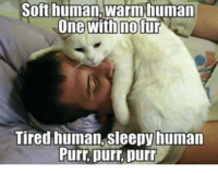 soft-human-warm-human-one-with-no-fur-tired-human-15465606.png