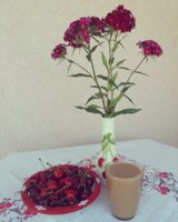 IMG_20180516_085434_568.jpg