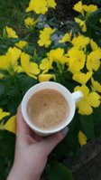 20180519_172046.jpg