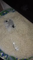 20180520_151539.jpg