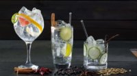 gin-tonic.jpg