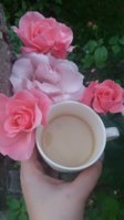 20180521_193537.jpg