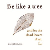 quote-tree-rumi-300x300.jpg